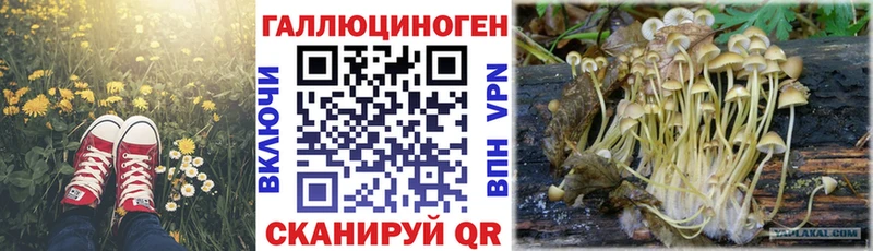 Псилоцибиновые грибы Magic Shrooms  где купить наркоту  omg ONION  Пугачёв 